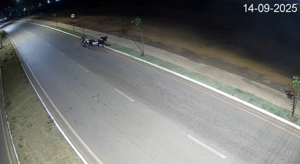 Homem é preso após furtar grama em avenida monitorada pelo Vigia Mais MT - 